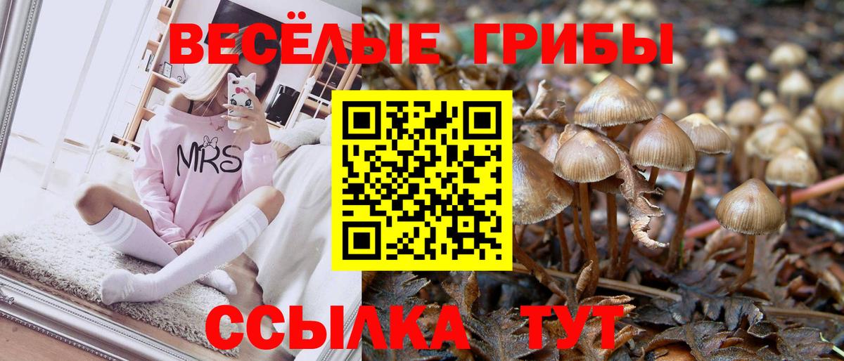 Галлюциногенные грибы прущие грибы  Вход с VPN  Ростов Великий 