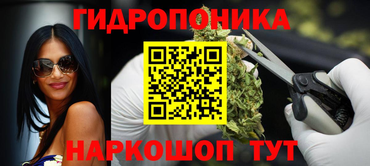 Бошки Шишки Bruce Banner  Канабис гибрид  Вход с VPN  Марихуана Bruce Banner  Ростов Великий 